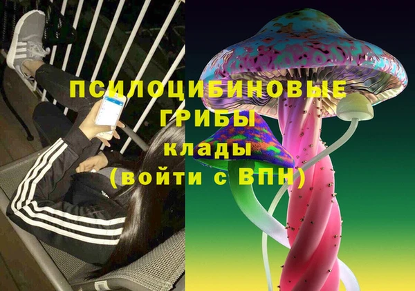 эйфоретик Абинск